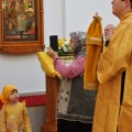 DSC04800 853x1280